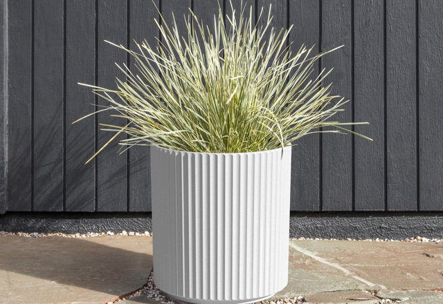 Must-Have Plant Pots